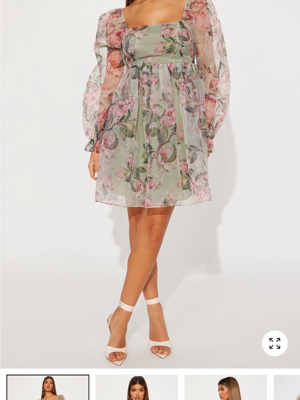 Fashion Nova Green & Pink Floral Organza Long Sleeve Mini Dress